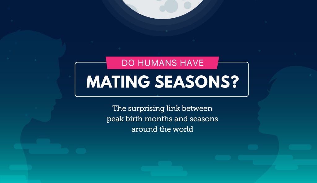 Do humans have mating seasons? This heat map reveals the surprising link  between birthdays and seasons | by Payman Taei | Towards Data Science