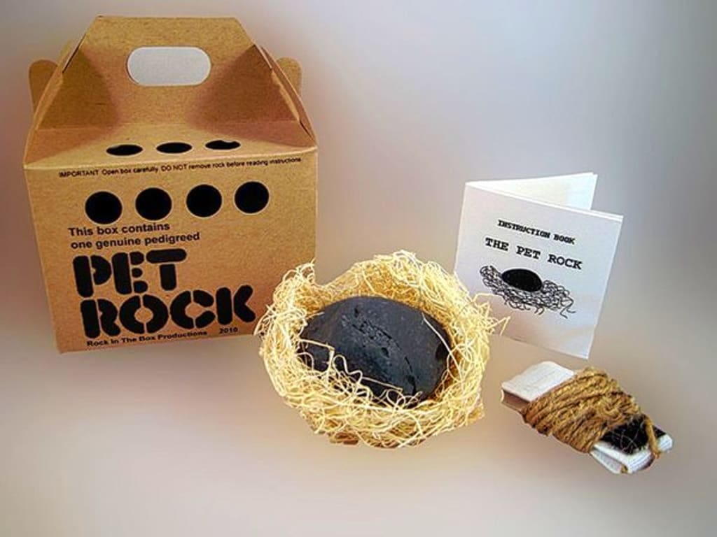 The Unbelievable Story of The Pet Rock: How One Man's Idea Made Him  Millions!”, by Chris Jones