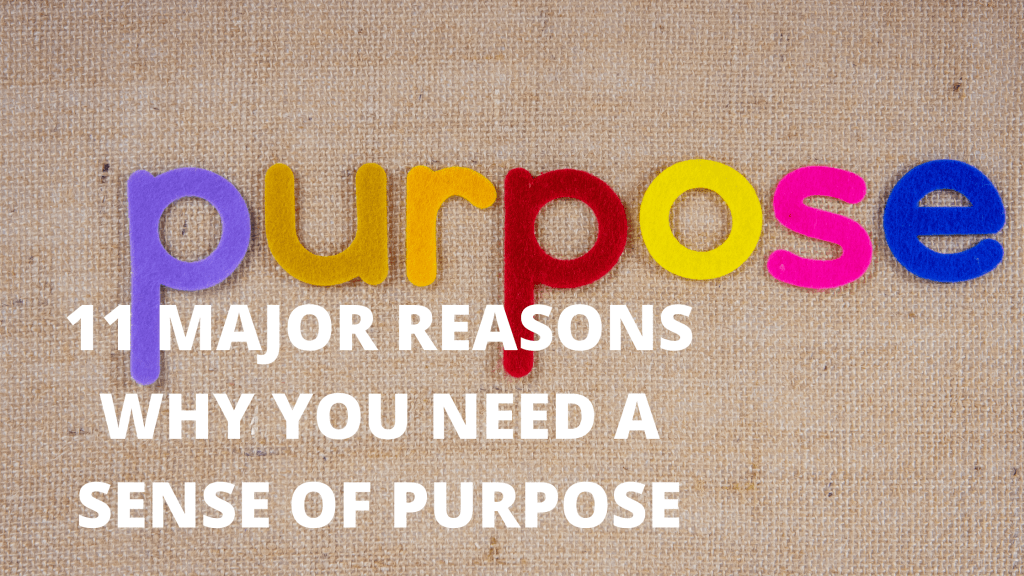 11 Major Reasons Why You Need A Sense Of Purpose by Abraham Oyewumi