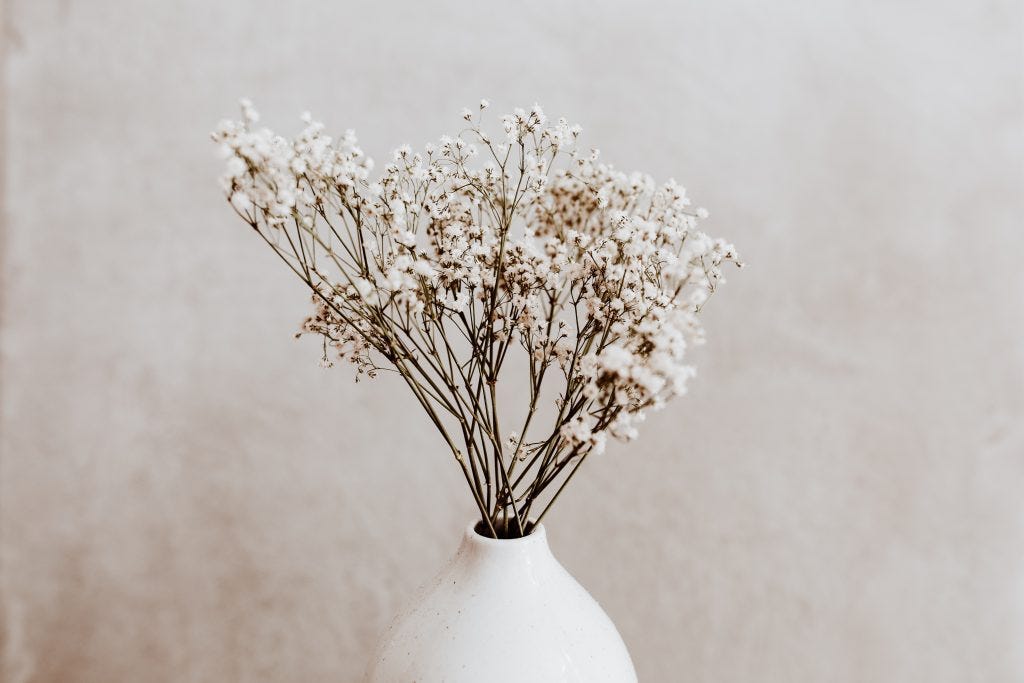 Caring for Dried Flowers: The Dos and Don'ts