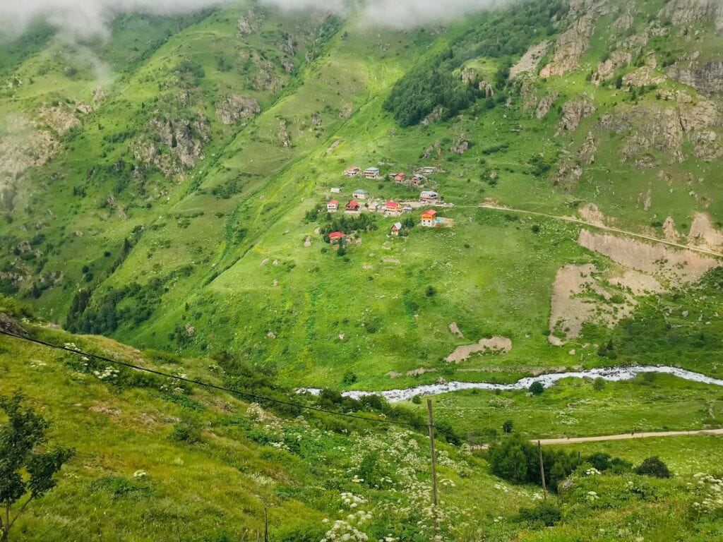 Rize’nin bilinmeyen en çiçekli yaylası: Çiçekli Yayla