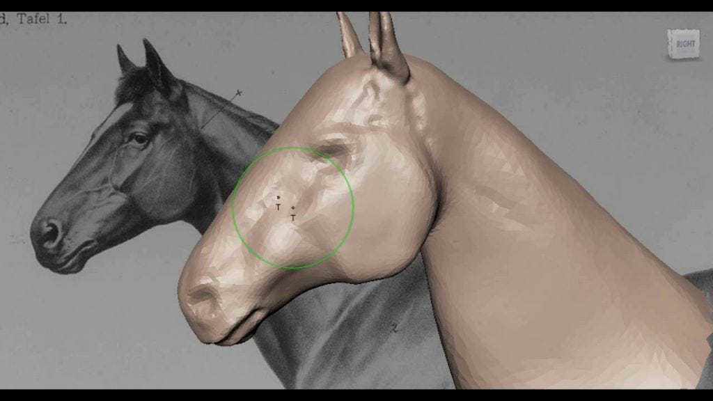 Mudbox 2019 выпущен