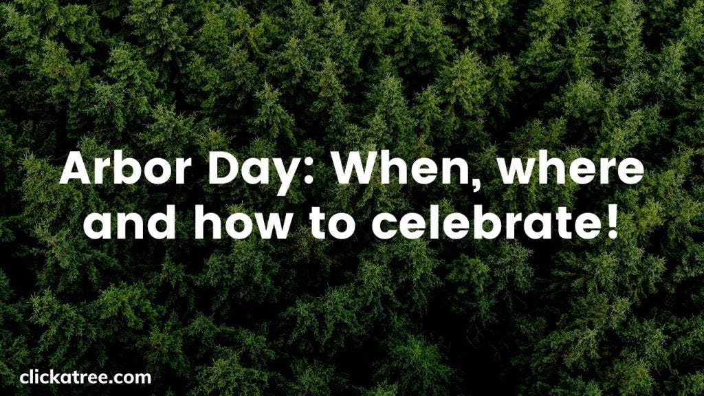 Arbor Day 2022 When, where and how to celebrate by Click A Tree Medium