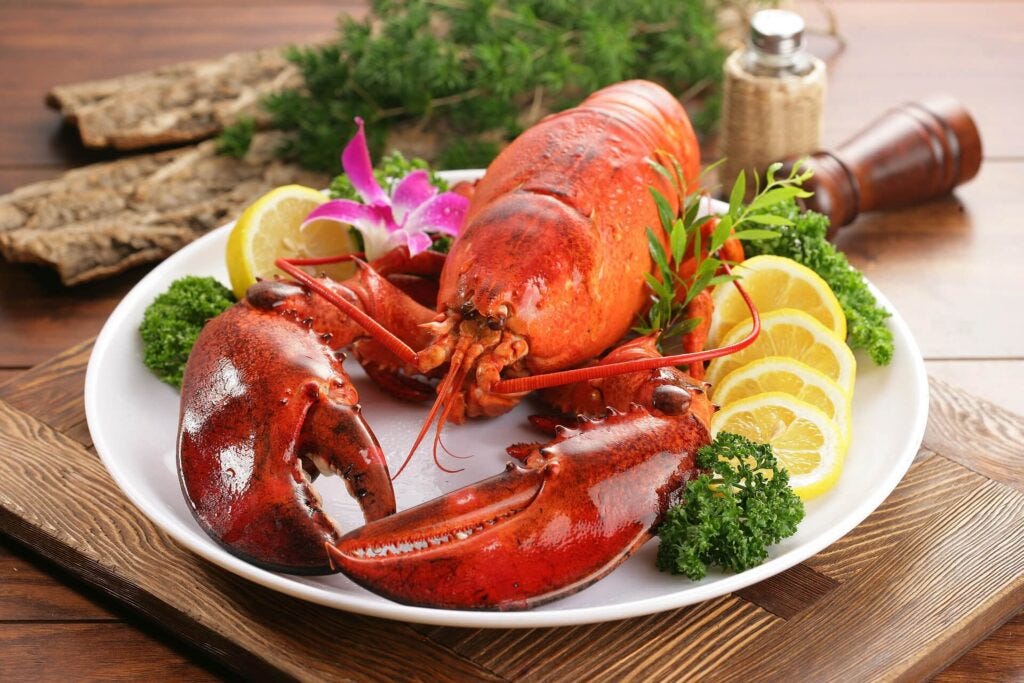 Lobster hot sale cat food