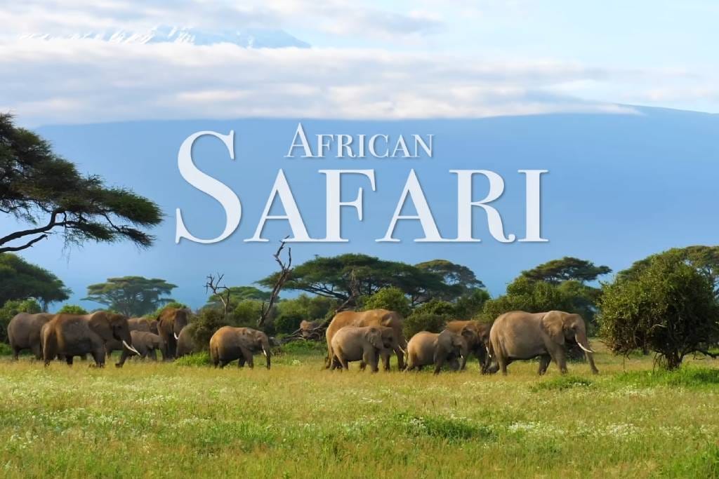 How Much Does It Cost to Go on an African Safari 8 Factors by East