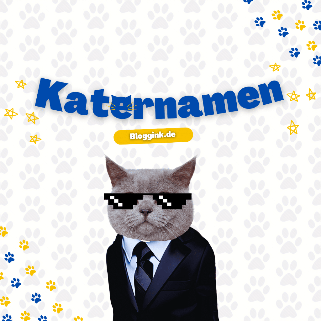 Beliebte Katernamen und Ihre Bedeutungen - Bloggink.de - Medium