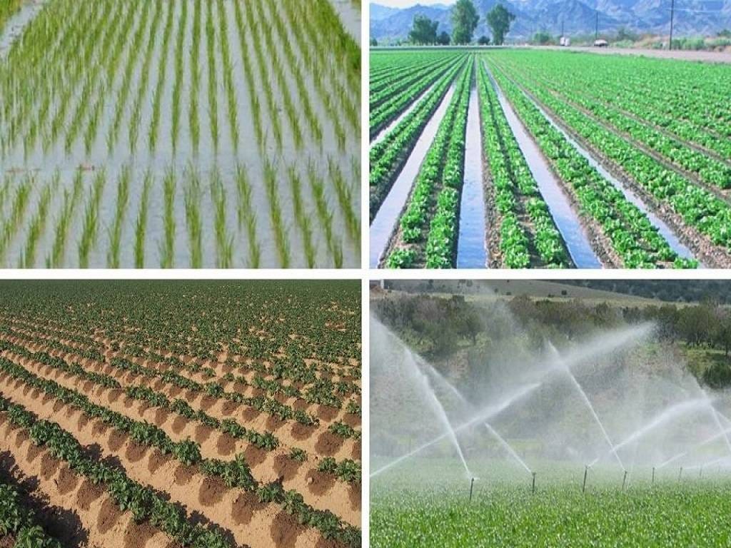 Irrigation Systems. Irrigation systems play a crucial role… by