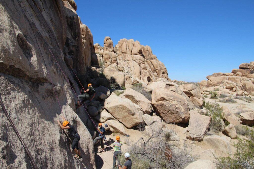 Rock Climbing in Joshua Tree with a Private Guide by Joshua Tree