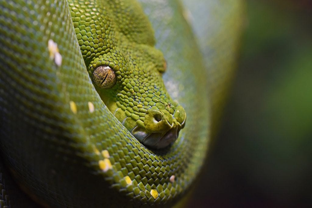 AES-256 Cipher — Python Cryptography Examples | by Lane Wagner | Boot ...