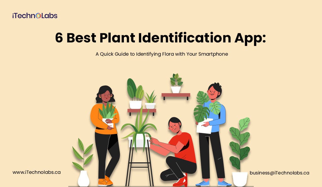 6 Best Plant Identification App A Quick Guide to Identifying Flora