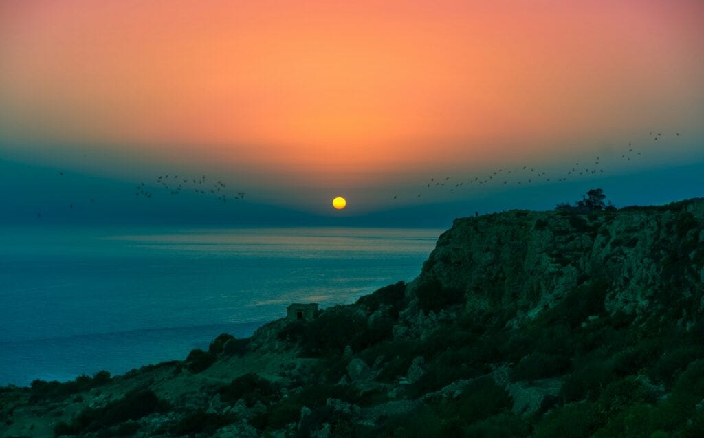 Reflection of a Conscious Creator: Living a Purposeful Life