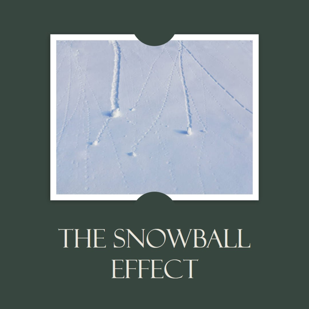 The Snowball Effect. For those who listen to Dave Ramsey or… by LrAu