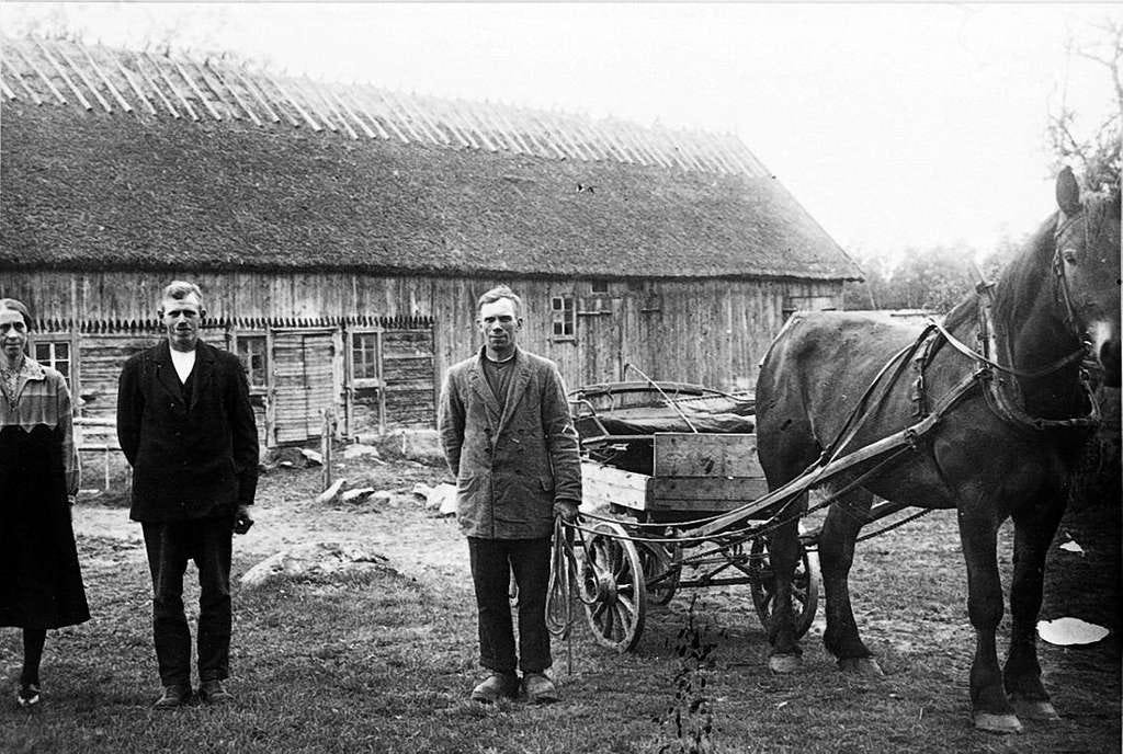 Avon Vet Expert Pet Care Services by Emergency Vet Medium