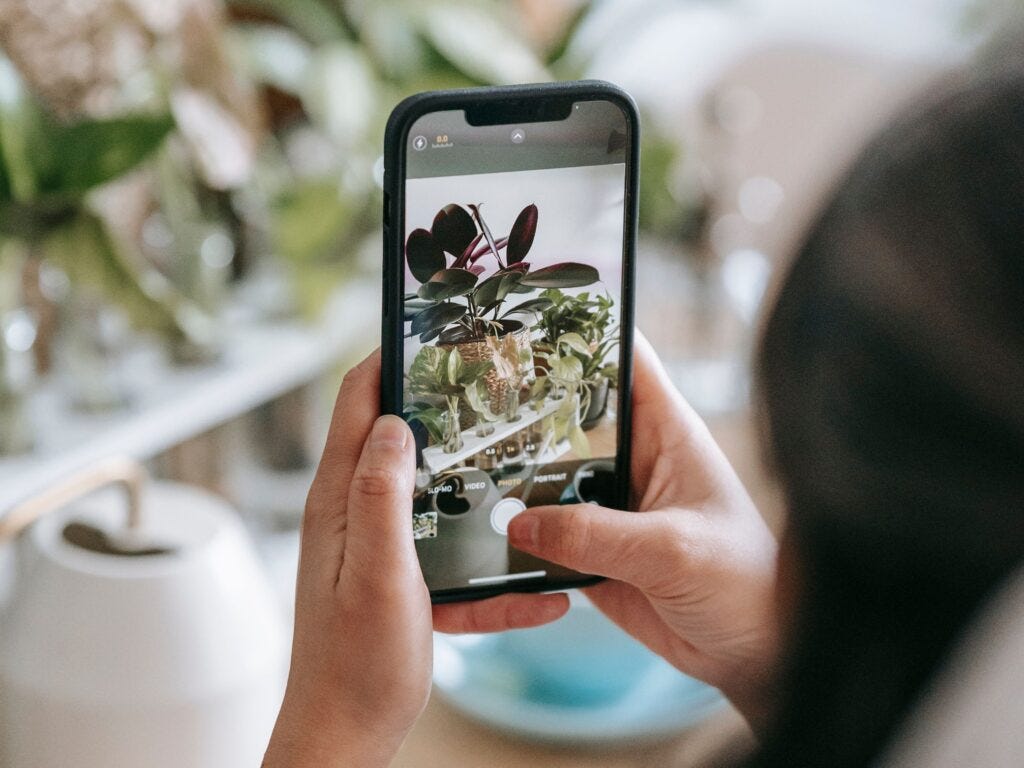 Image from pexels