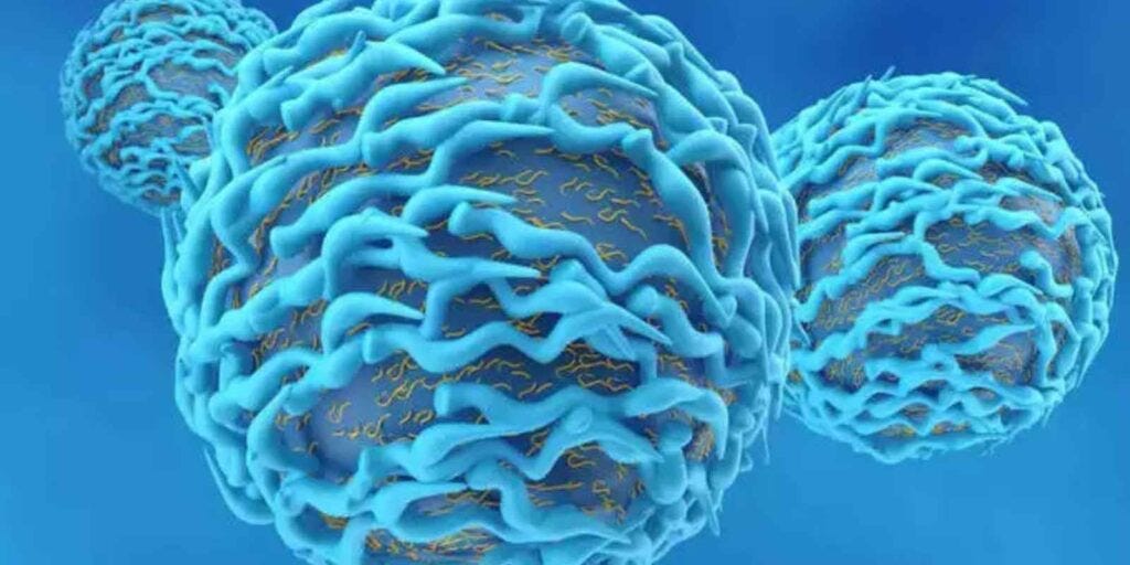 what-diet-of-foods-should-blood-cancer-patients-avoid-by-manivannan