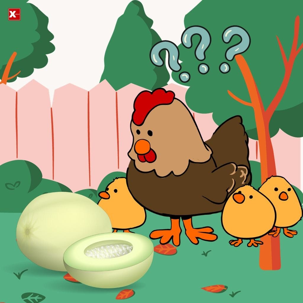 Can Chickens Eat Honeydew? Every thing you need to know. by