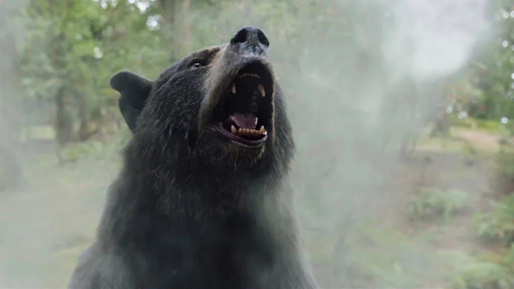 Bear Essential Muk Luks  American Bear Association