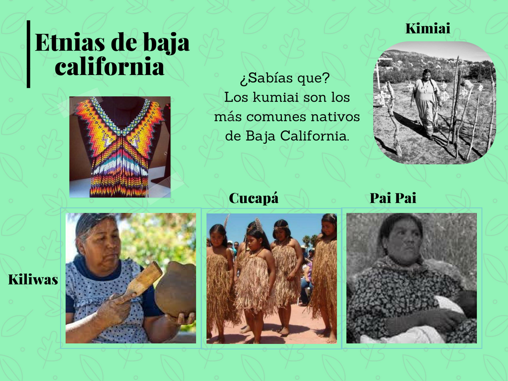 Las cuatro etnias en B.C. by Artesanías en Baja California Medium Las cuatro etnias en B.C. by Artesanías en Baja California Medium