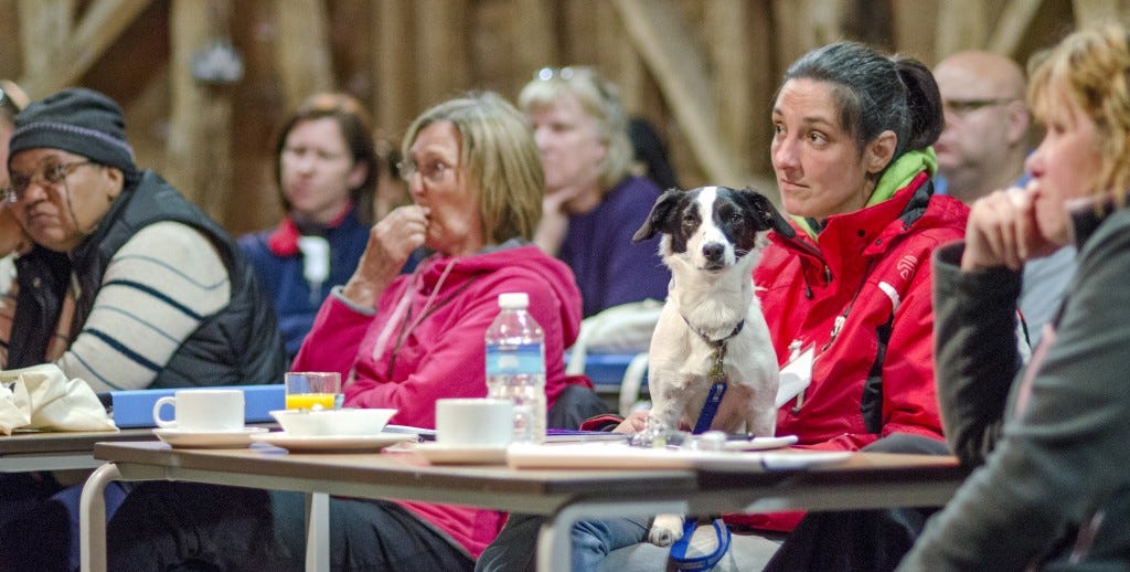 Dog Courses. Looking for the best training of… by The UK Dog