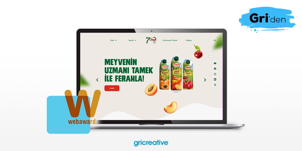 Tamek web sitesine yeni bir uluslararası ödül!