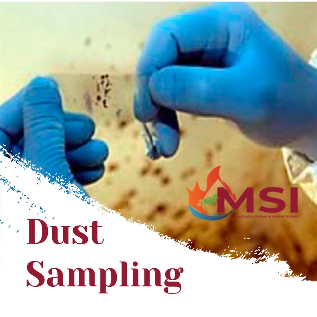 Dust Sampling Mold Solutions & Inspections Medium