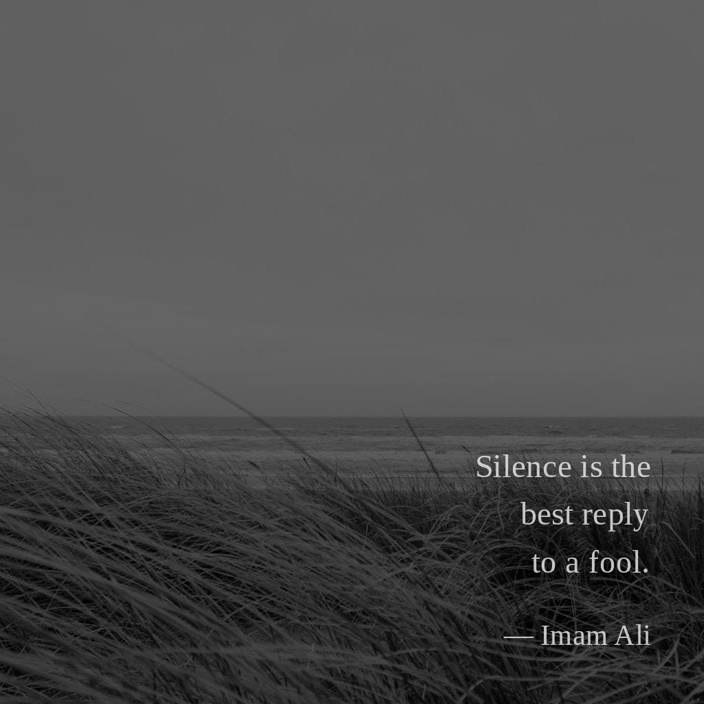  Silence Is The Best Reply To A Fool Imam Ali By Ankush Kapoor 