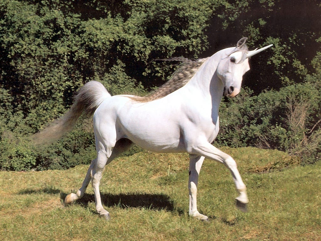 Spiritual Energy of Unicorns. Unicorns bring spiritual energy for ...