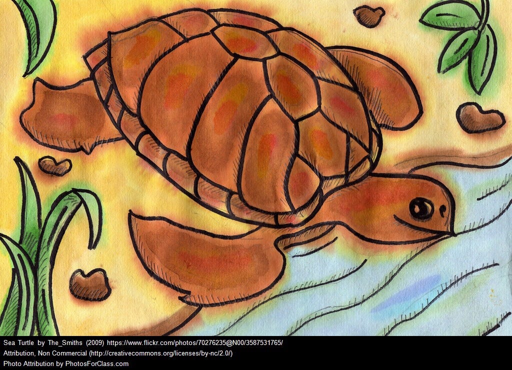 How a Turtle Writer’s Doing After 6 months on Medium | by Malinee ...