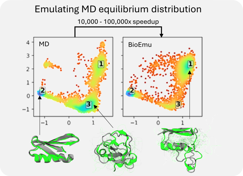 Figure 2 from their post: BioEmu-1 reproduces the D. E. Shaw research (DESRES) simulation of Protein G accurately with a fraction of the computational cost. On the top, we compare the distributions of structures obtained by extensive MD simulation (left) and independent sampling from BioEmu-1 (right). Three representative sample structures are shown at the bottom.