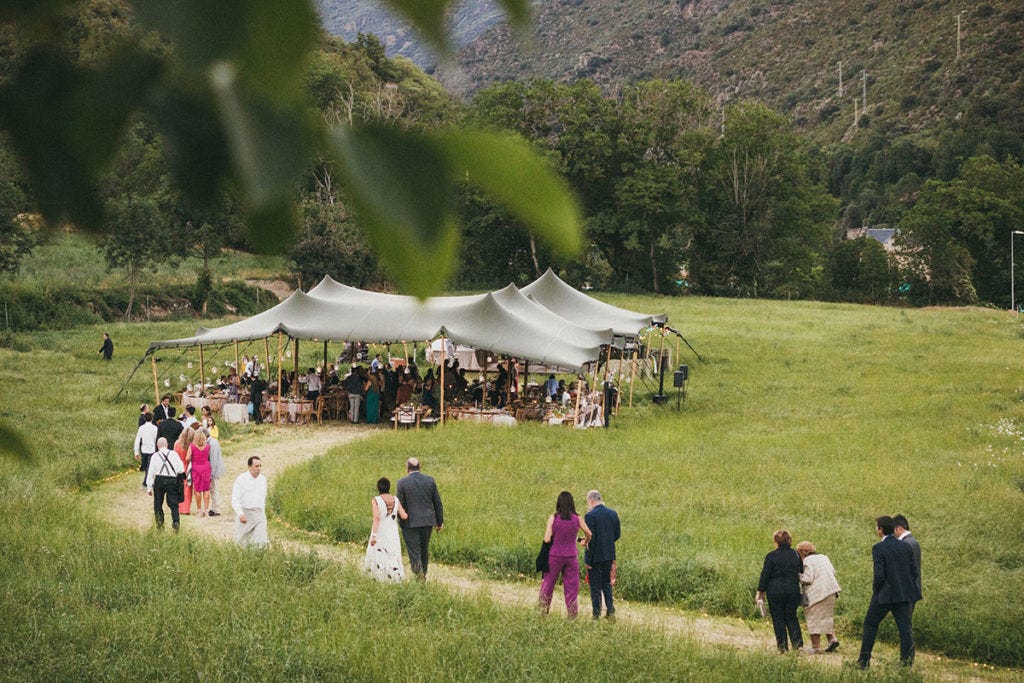 Carpas para Bodas: 7 Datos Curiosos que No Sabías sobre las Estrellas del Aire Libre