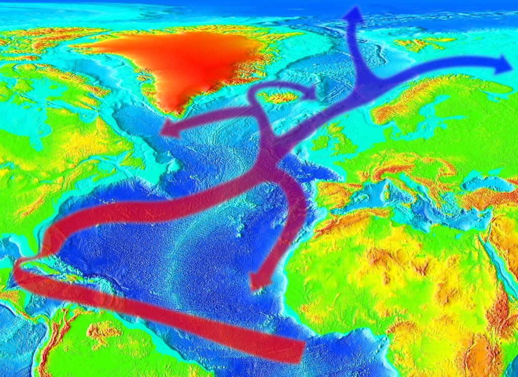 2025 Climate Catastrophe The Shocking Collapse of the Gulf Stream in
