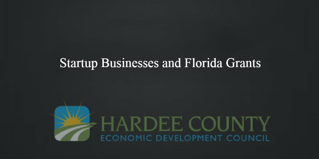 Startup Businesses and Florida Grants by Hardee County EDC Medium