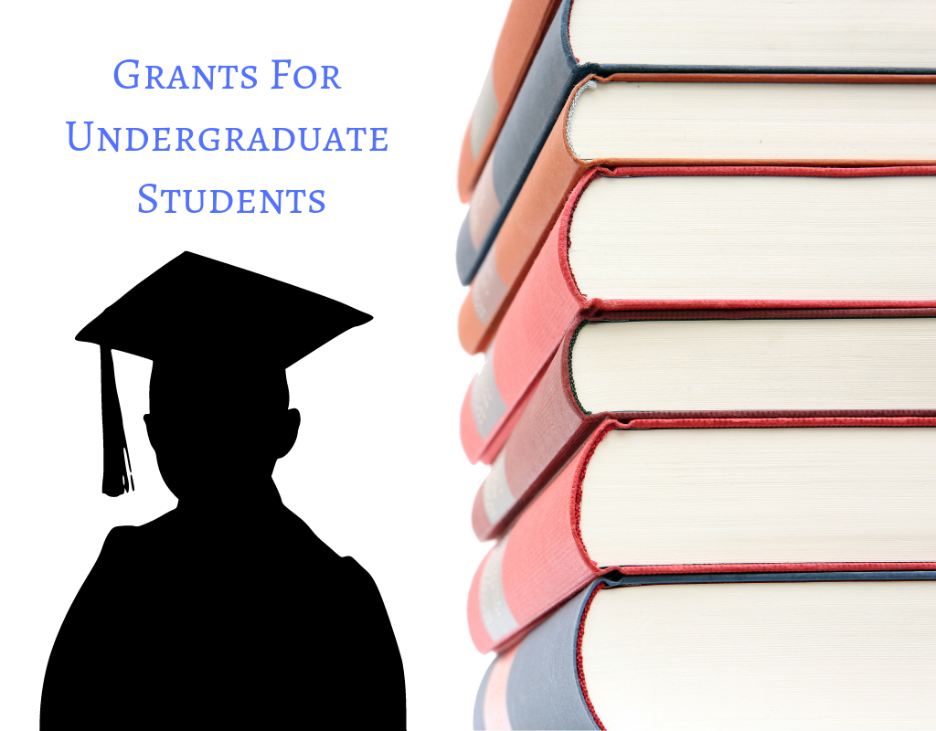 Grants For Undergraduate Students by R K Gupta Medium