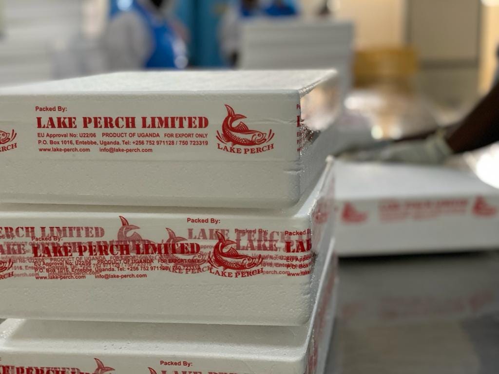 Get fresh fish exported from Lake Preach | by Amelia warner | Medium