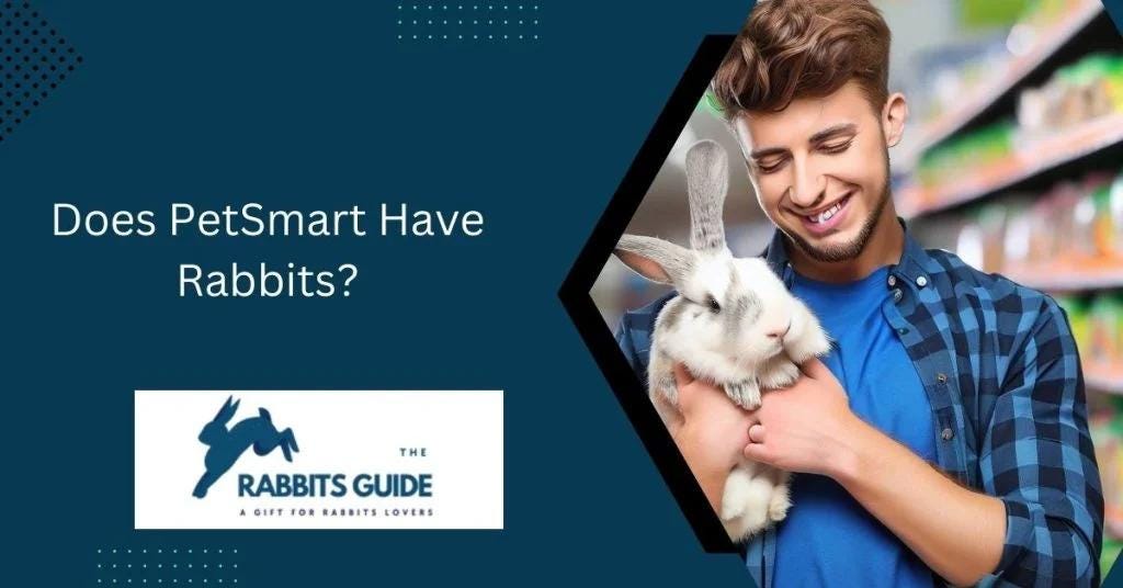 Does PetSmart Have Rabbits?. PetSmart, a leading retailer… | by ...