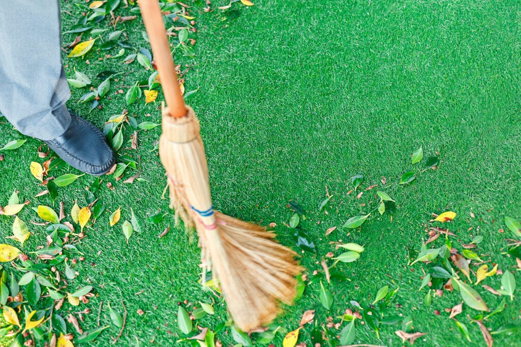 How to Clean Turf fallcleanupcalgary Medium