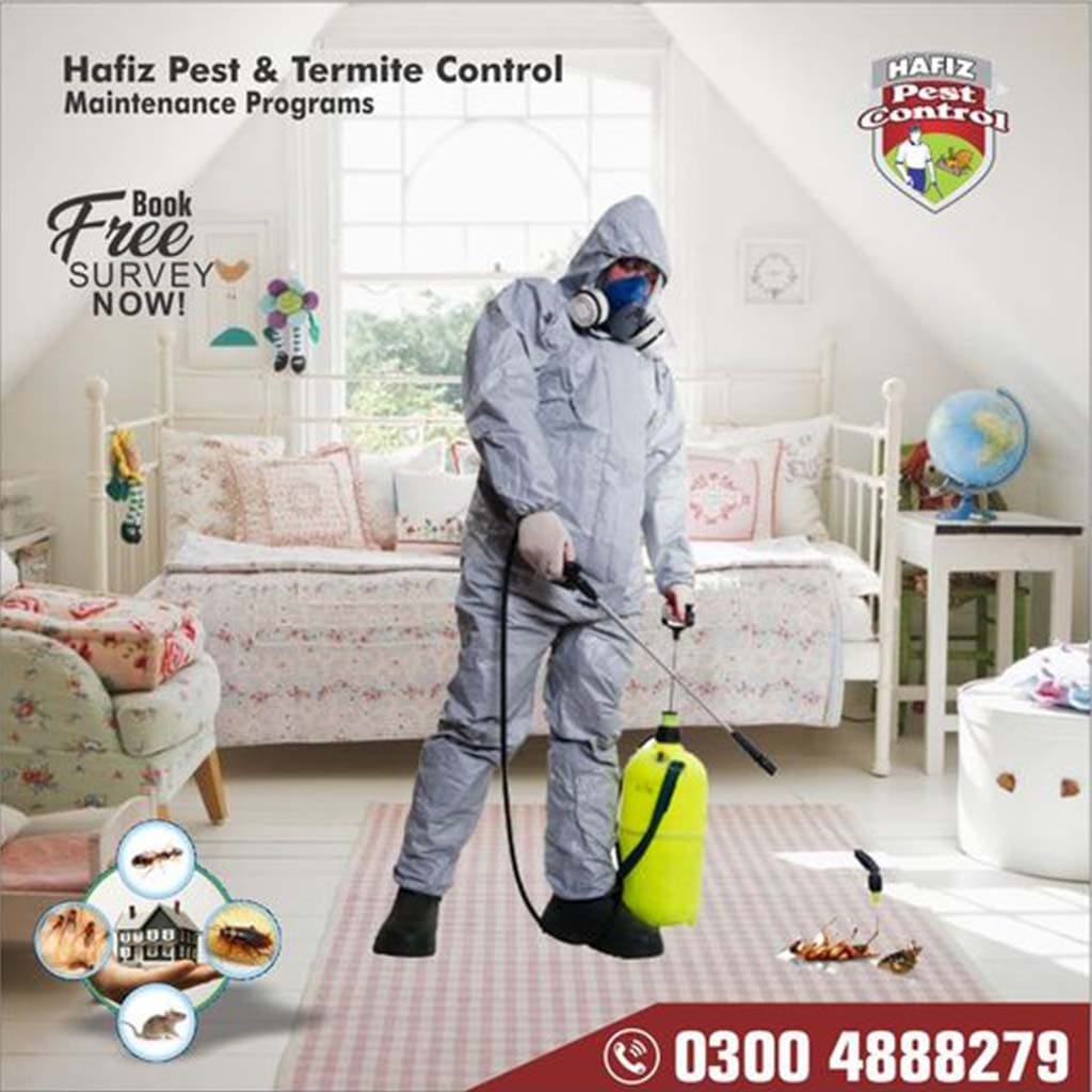 Termite Fumigation Spray Deemak Control Pest Control Service in Lahore Islamabad by hafiz pest