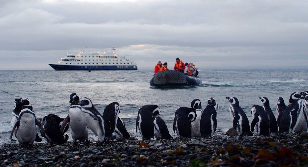 Patagonia Unveiled: A Tapestry of Wilderness and Wonder  by mansipatel 