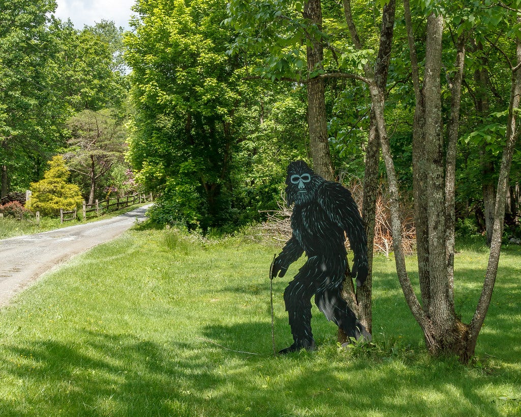 The Monster Of Boggy Creek.. The Real Story Of The Fouke Monster by