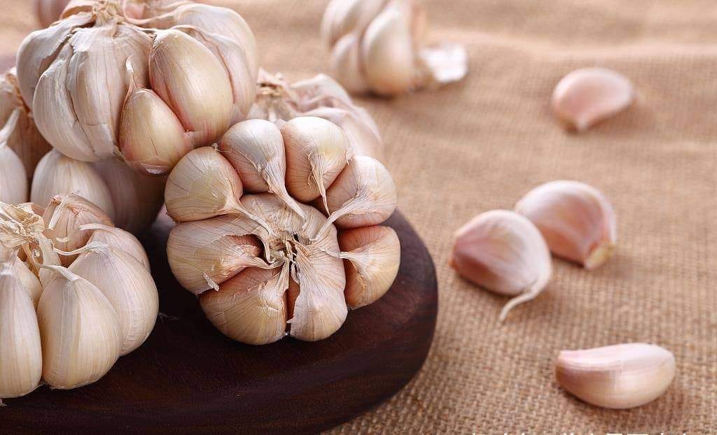 Garlic On An Empty Stomach Health Benefits 7 Things That Can Happen