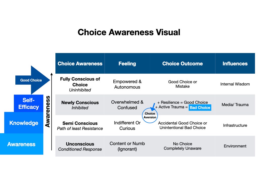 How To Make Good Choices. Have you ever wondered why people make… | by ...