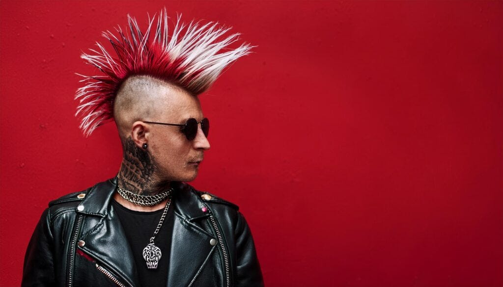 PROTESTA SOCIAL, EL PUNK LOOK