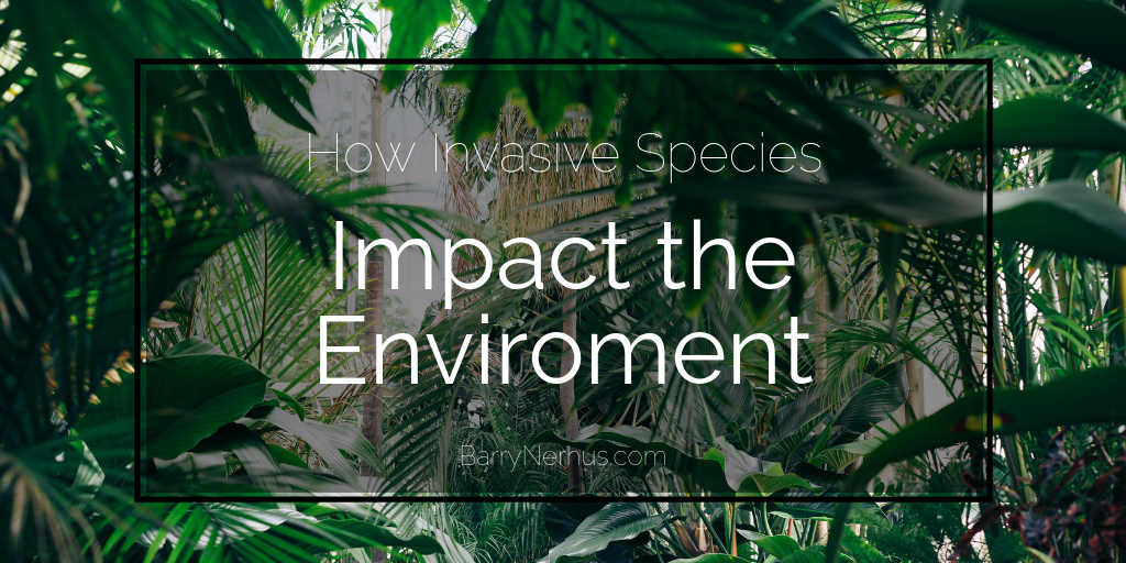 How Invasive Species Impact the Environment by Barry Nerhus Medium