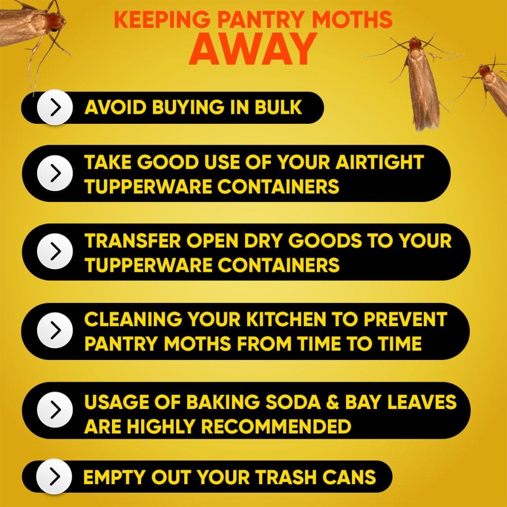 How to keep pantry moths away Bestmamakitchen Best Mama Kitchen