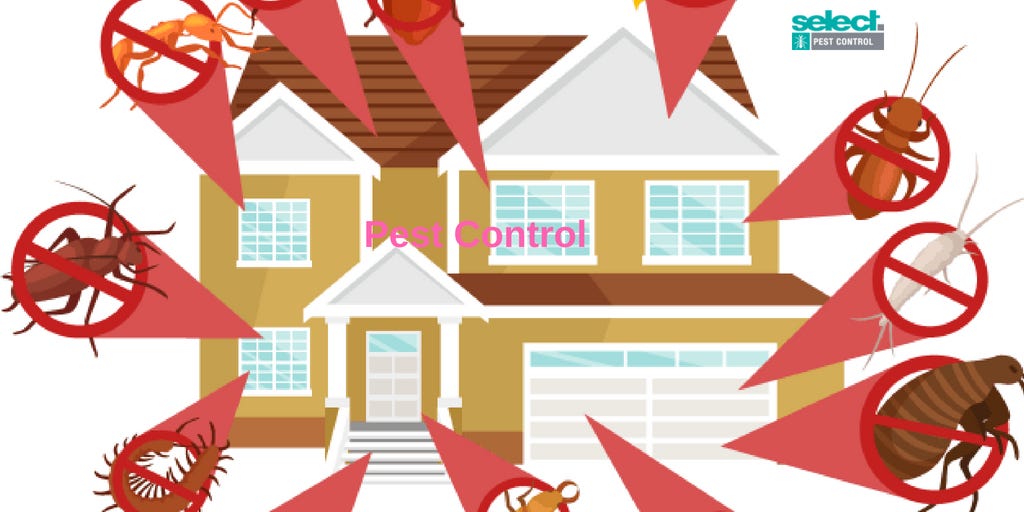 Pest Control. Get fast, reliable and effective pest… by SELECT PEST