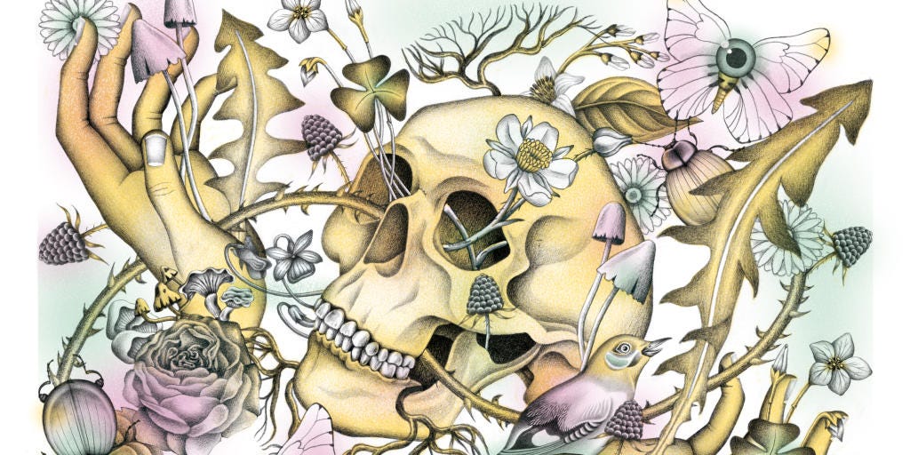 Vie/Mort, Humain/Nature… autant de dualismes hiérarchisés (source image).