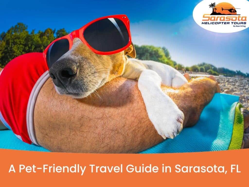 Pet Travel & Activities