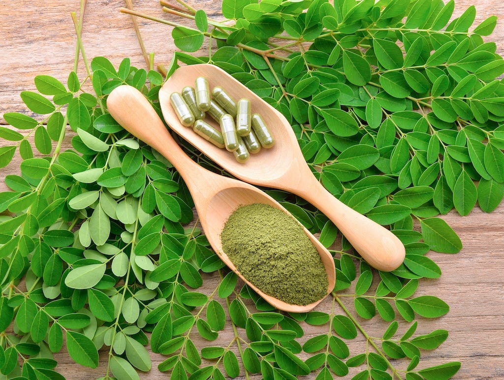 Differences Between MoringaSpirulina — Vigorous Herbs by Vigorous