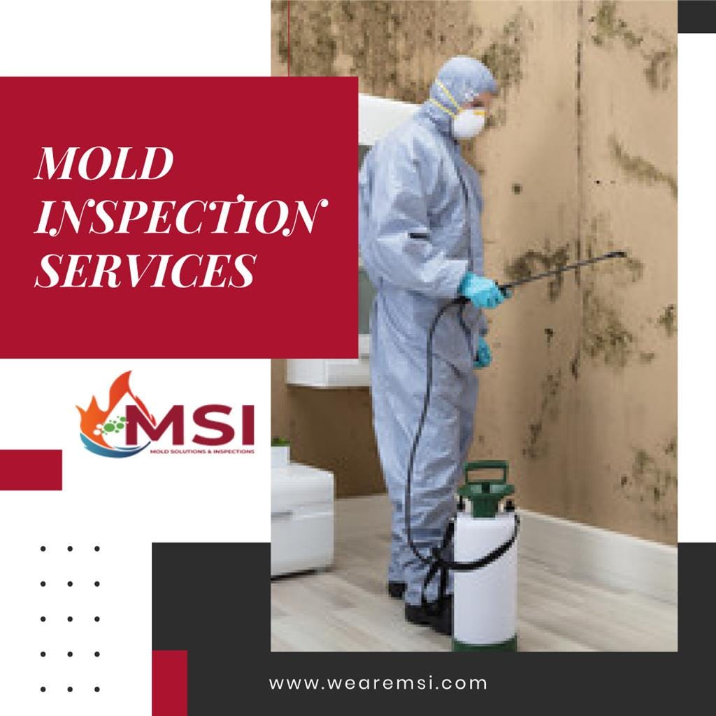 Mold Inspection Services Mold Solutions & Inspections Medium Mold Inspection Services Mold Solutions & Inspections Medium