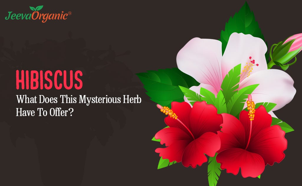 Hibiscus Flower Powder A Mysterious Herb Extract by Jeeva Organic